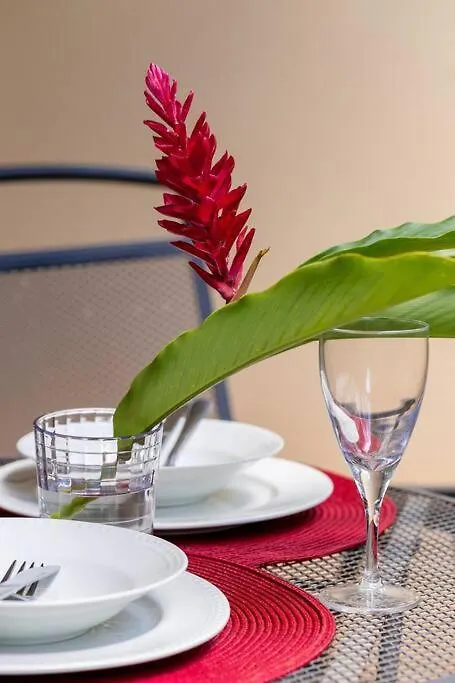 Choose To Be Happy At The Argyle - One Bedroom With Pool Kingston
